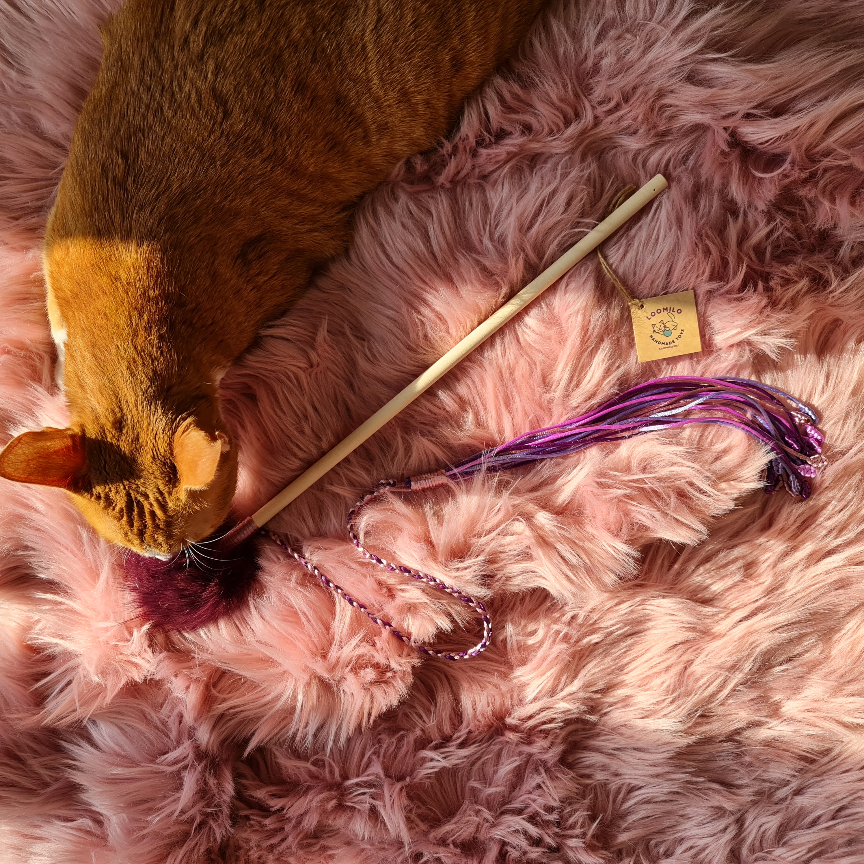 مدل رنگین کمان